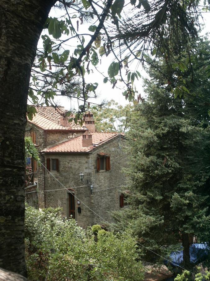 La Luna Nel Pozzo Castiglion Fibocchi Exterior foto